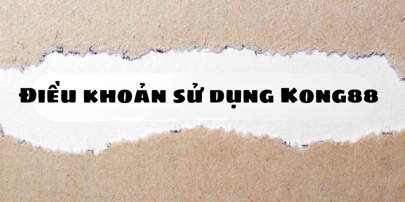 Điều khoản sử dụng 3 Người chơi cần phải có trách nhiệm với các hành động của mình