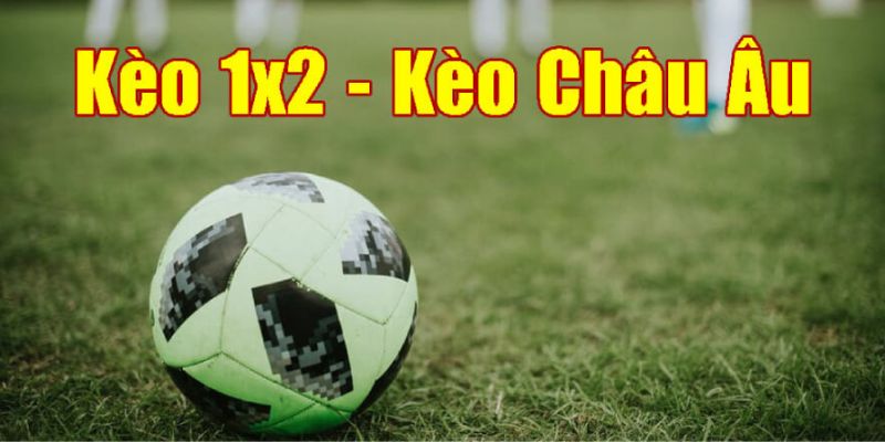 Hướng dẫn cách tính kèo châu Âu cho những người mới chơi 2 Bất cứ người chơi nào cũng phải nắm bắt được các tính kèo chi tiết