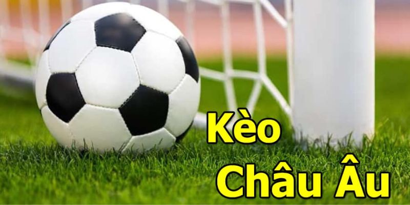 Truy cập vào Kong88 để tham gia đặc cược hấp dẫn
