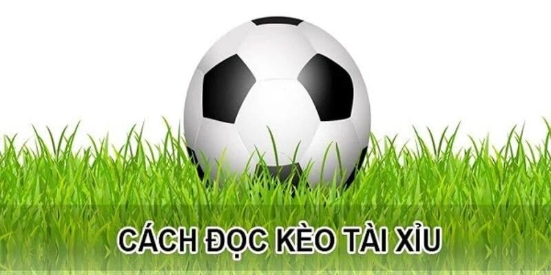 Kèo tài xỉu là gì? cách cá độ bóng đá kèo tài xỉu 2 Có rất nhiều tỷ lệ kèo tài xỉu mà nhà cái cá cược đưa ra